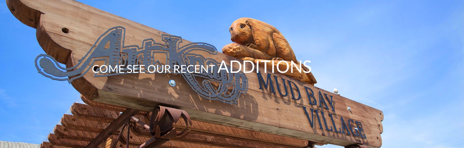 Garden Centre Home Decor Art Knapp South Surrey