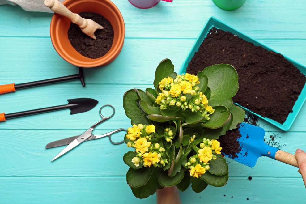 Preparing for Spring Planting in Surrey | Soil Conditioning